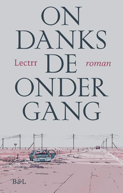 Ondanks de ondergang (roman)
