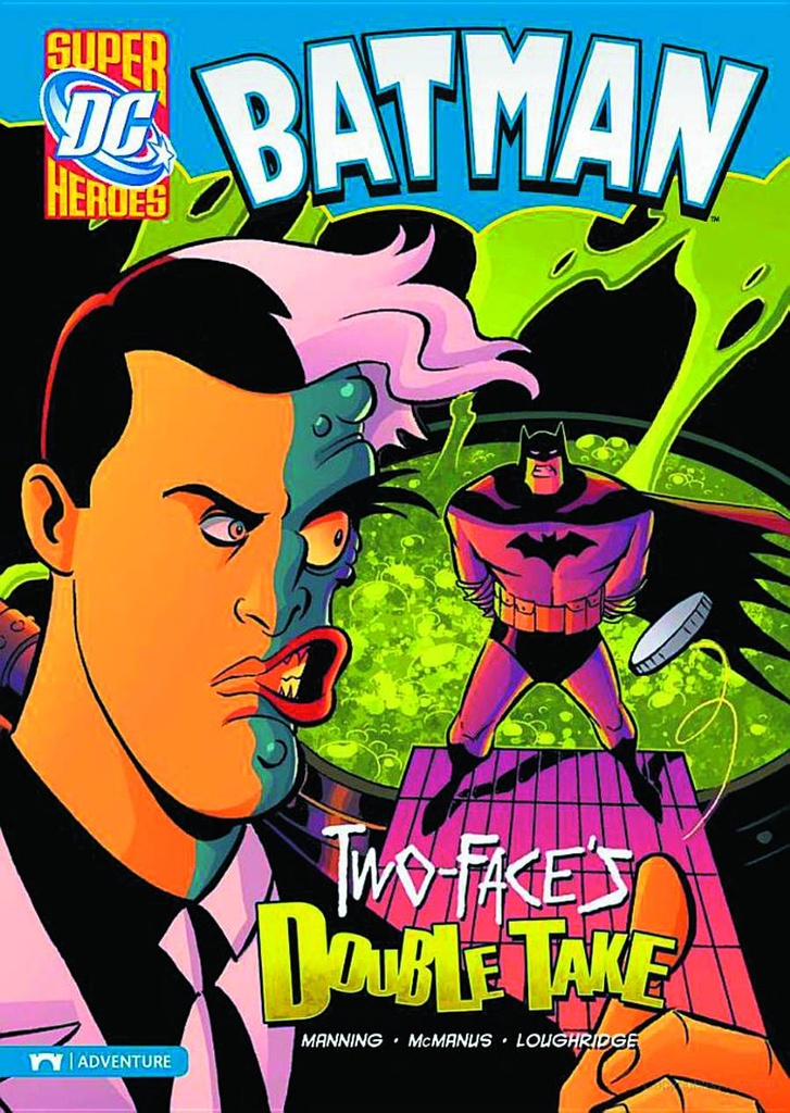 DC SUPER HEROES BATMAN YR TWO FACES DOUBLE TAKE
