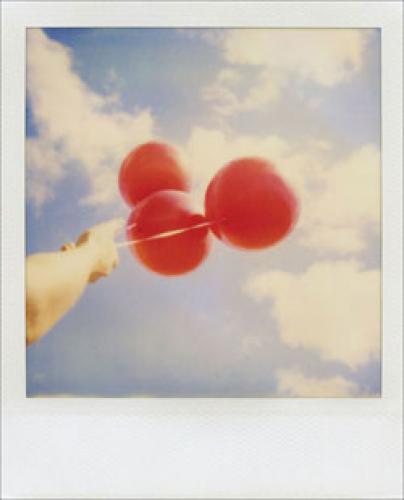 POLAROID JOURNAL