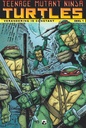 Teenage Mutant Ninja Turtles SC 1 Verandering is constant