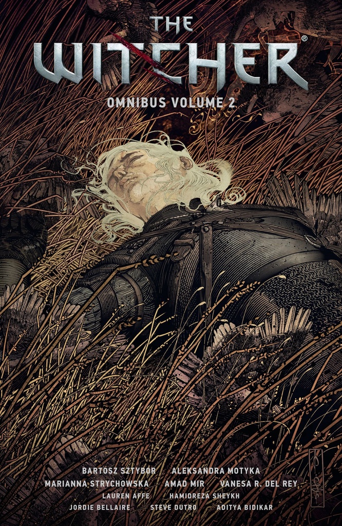 WITCHER OMNIBUS 02