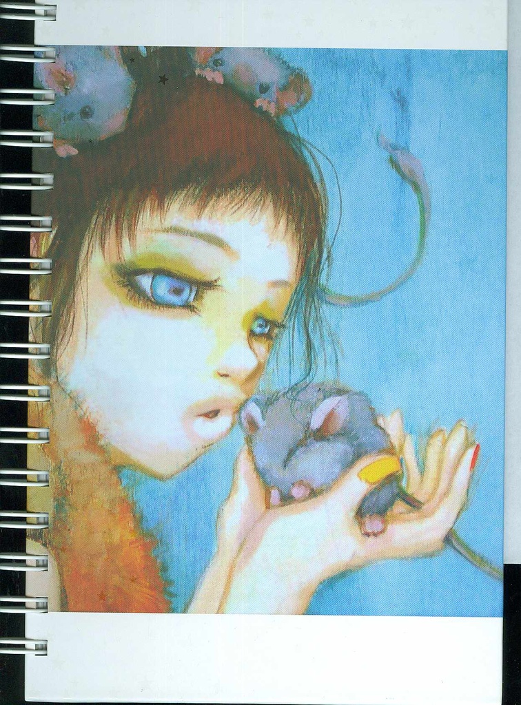 JOURNAL CAMILLA D ERRICO