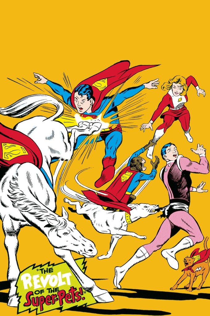 LEGION OF SUPER HEROES SILVER AGE OMNIBUS HC 03