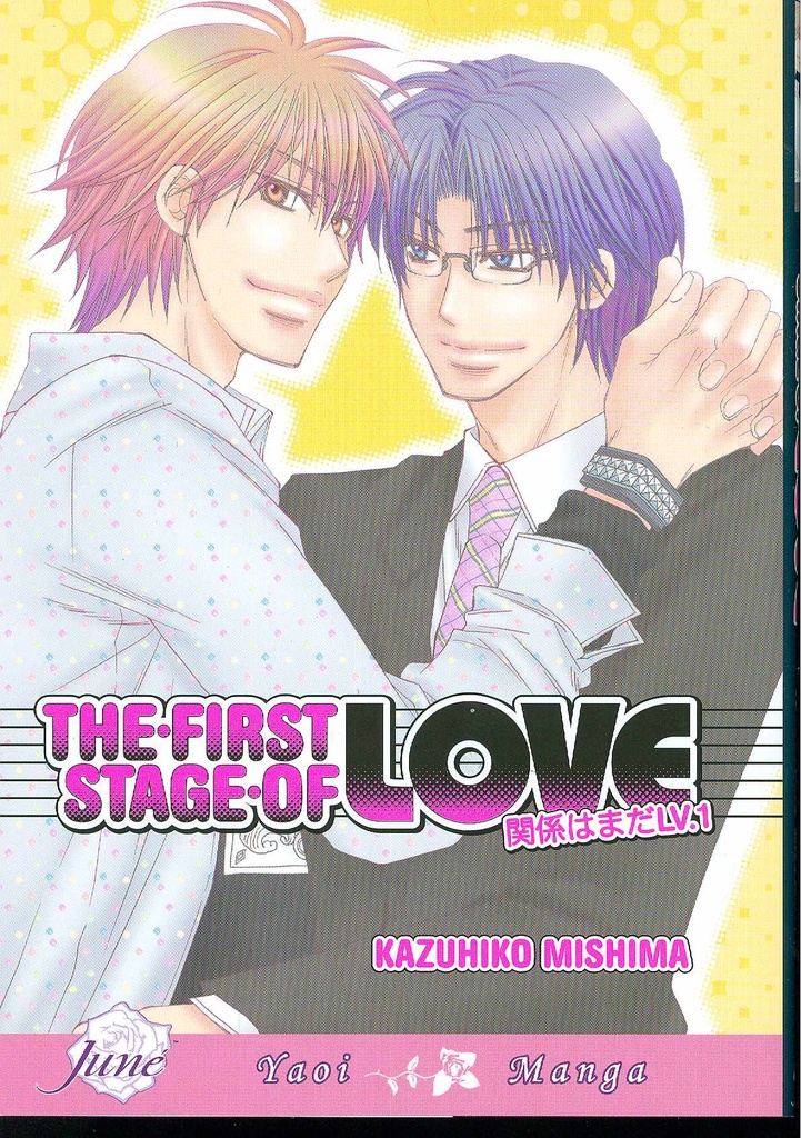 FIRST STAGE OF LOVE