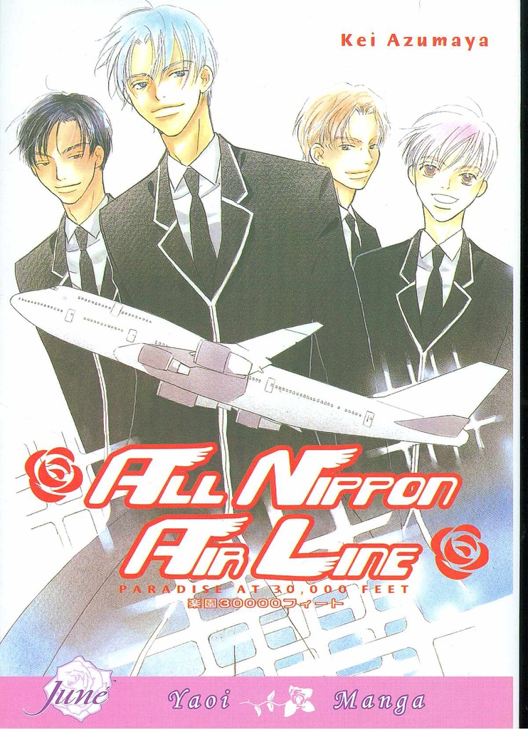 ALL NIPPON AIRLINE PARADISE 3000 FEET