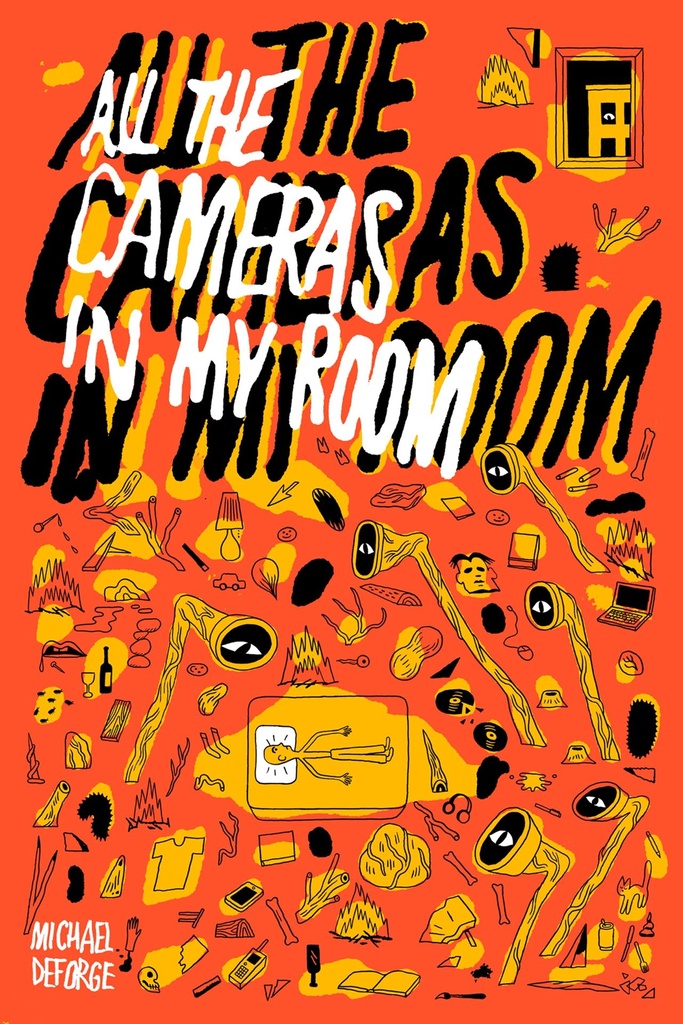 ALL THE CAMERAS IN MY ROOM