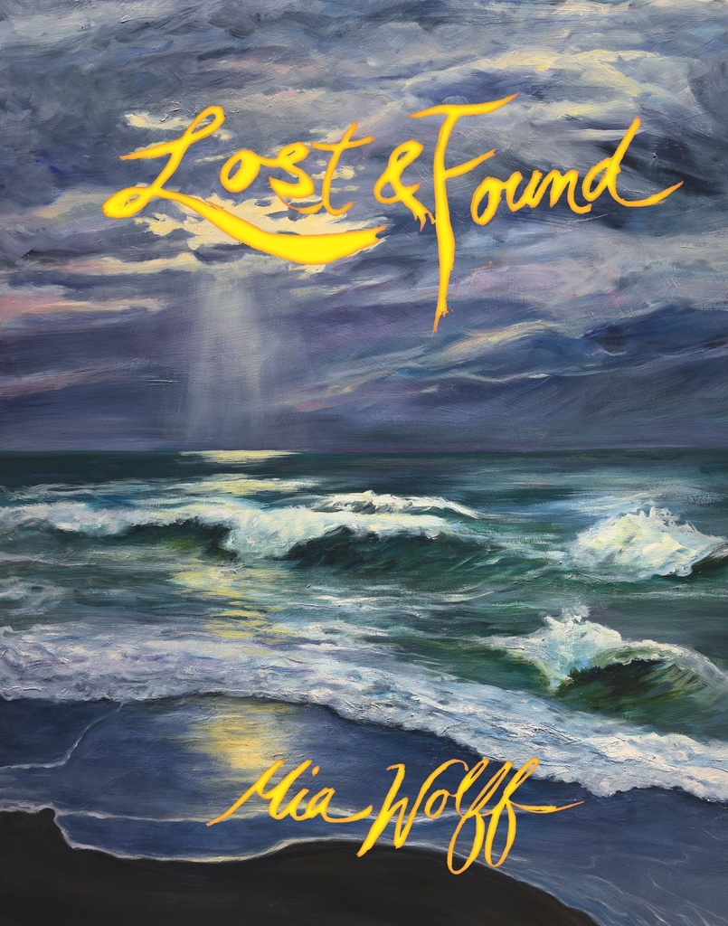 LOST & FOUND HC
