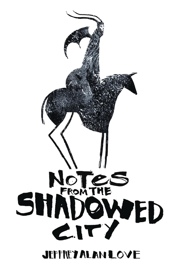 NOTES FROM SHADOWED CITY ILLUS NOVEL