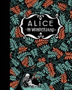 De avonturen van Alice in Wonderland en in Spiegelland