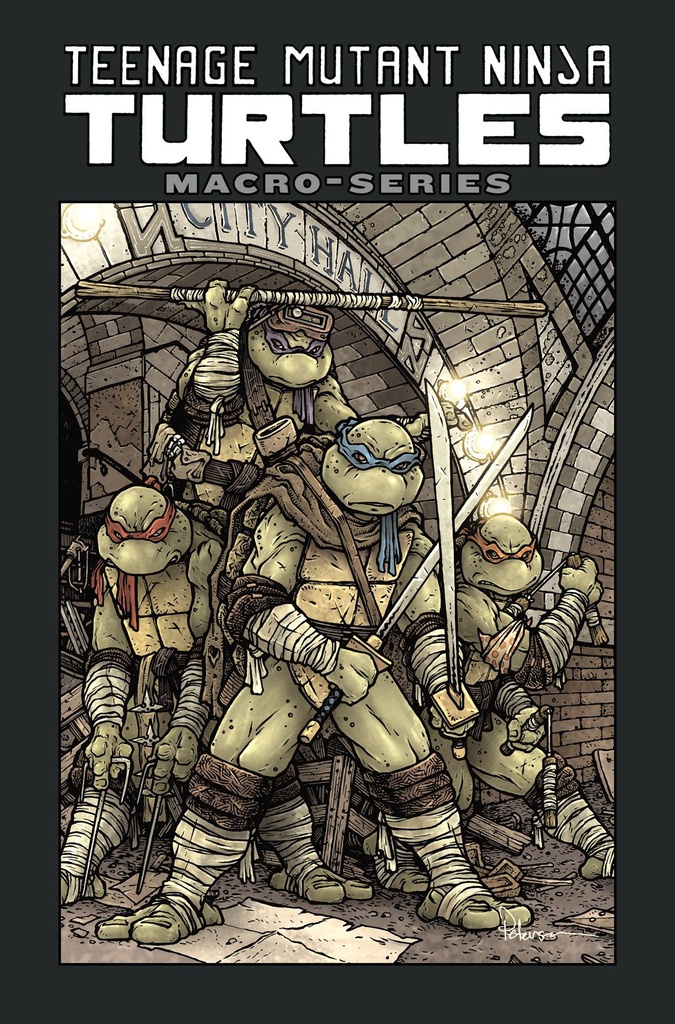 TMNT MACROSERIES