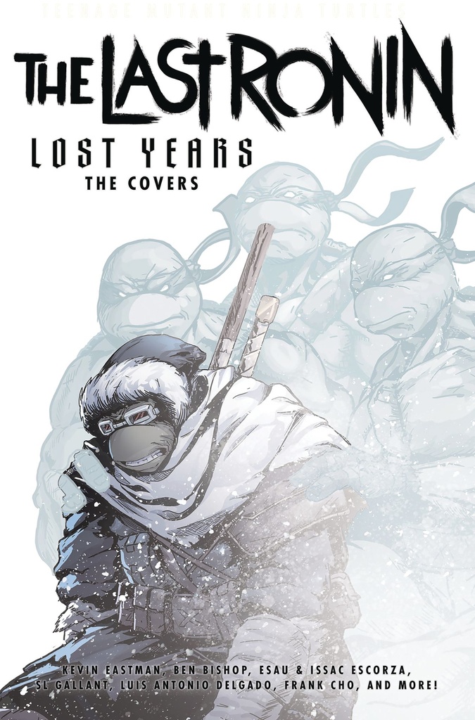 TEENAGE MUTANT NINJA TURTLES LAST RONIN LOST YEARS COVERS