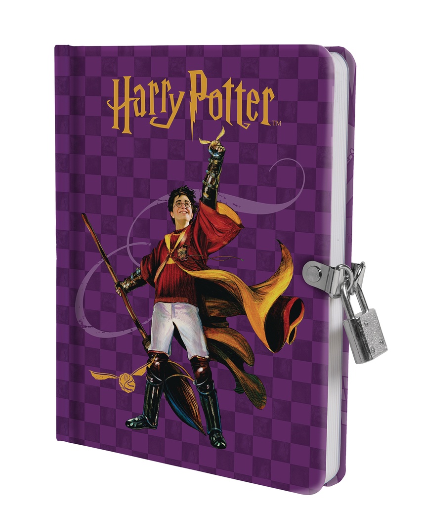 HARRY POTTER QUDDITCH LOCK & KEY DIARY