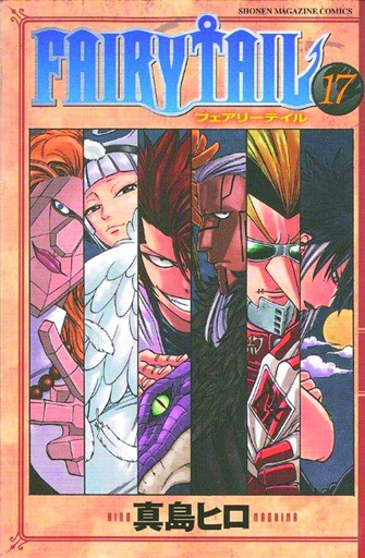 FAIRY TAIL 17