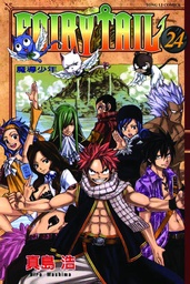 FAIRY TAIL 24