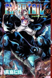 FAIRY TAIL 30