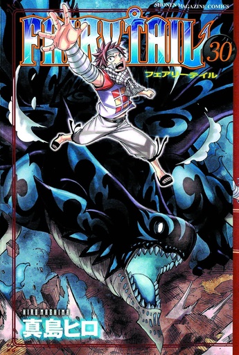 FAIRY TAIL 30