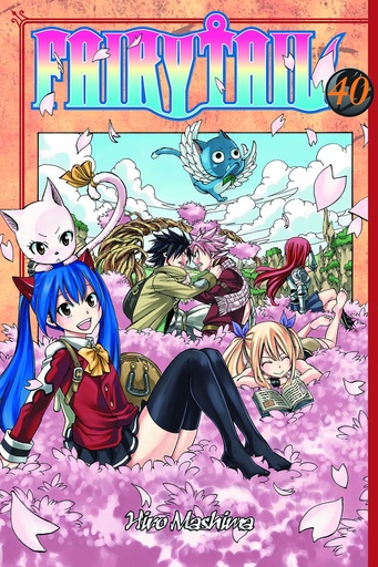 FAIRY TAIL 40