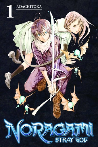 NORAGAMI STRAY GOD 01