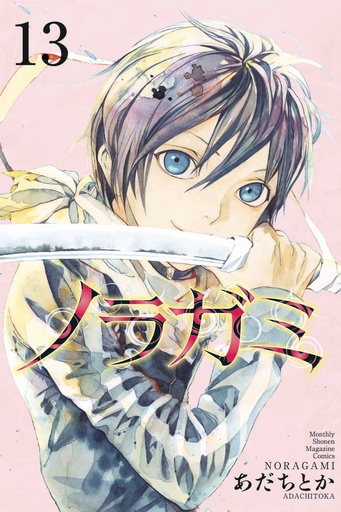 NORAGAMI STRAY GOD 13