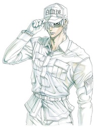 CELLS AT WORK 06