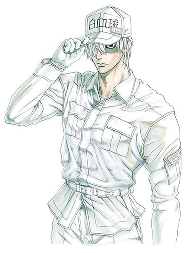 CELLS AT WORK 06