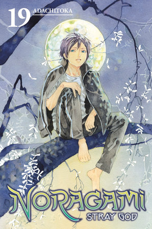 NORAGAMI STRAY GOD 19