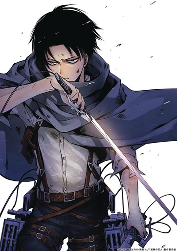 ATTACK ON TITAN NO REGRETS COMP COLOR HC