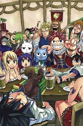 FAIRY TAIL BOX SET 01
