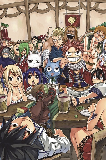 FAIRY TAIL BOX SET 06
