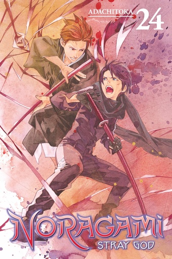 NORAGAMI STRAY GOD 24