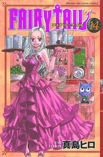FAIRY TAIL 14