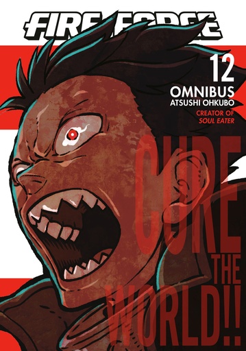 FIRE FORCE OMNIBUS 12 (VOL 33 34)