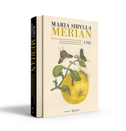 Maria Sibylla Merian-Metamorphosis insectorum Surinamensium