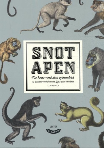 Snotapen Bundeling