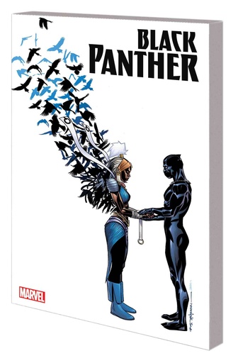 BLACK PANTHER 03 NATION UNDER OUR FEET