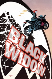 BLACK WIDOW&CAPTAIN AMERICA BY WAID&SAMNEE OMNIBUS