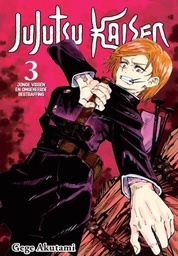 Jujutsu Kaisen NL 3