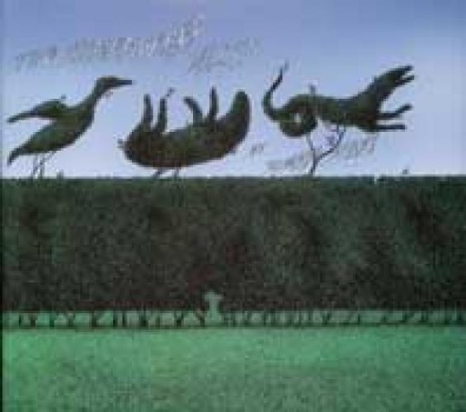 EDWARD GOREY THE REMEMBERED VISIT