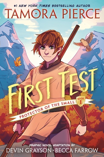 FIRST TEST GRAPHIC NOVEL