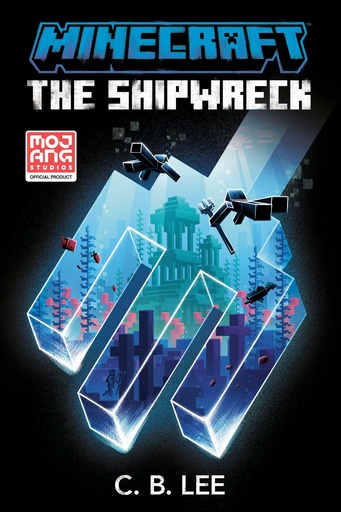 MINECRAFT SHIPWRECK