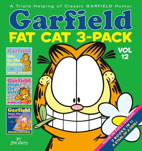Garfield Fat Cat 3-Pack 12