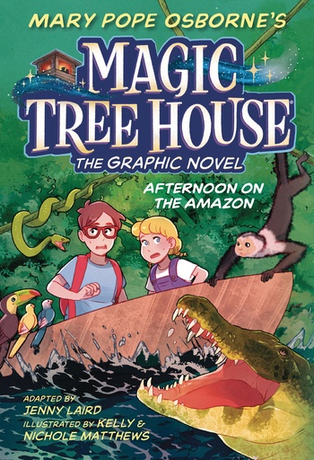 MAGIC TREE HOUSE 06 AFTERNOON ON AMAZON