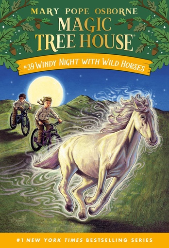 WINDY NIGHT WITH WILD HORSES