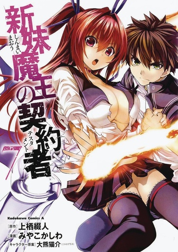 TESTAMENT OF SISTER NEW DEVIL 07
