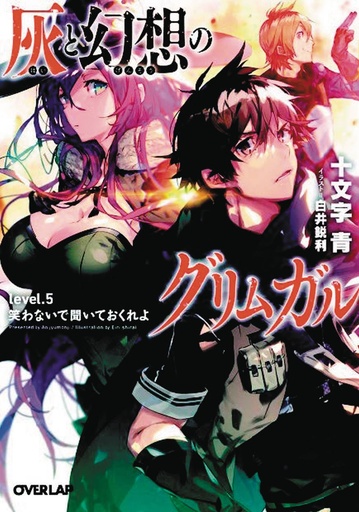 GRIMGAR OF FANTASY & ASH LIGHT NOVEL 01