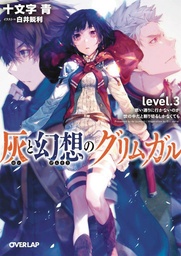 GRIMGAR OF FANTASY & ASH LIGHT NOVEL 03