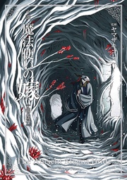 ANCIENT MAGUS BRIDE SILVER YARN NOVEL 02