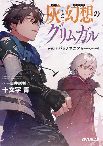 GRIMGAR OF FANTASY & ASH LIGHT NOVEL 14