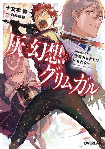 GRIMGAR OF FANTASY & ASH LIGHT NOVEL 14.5