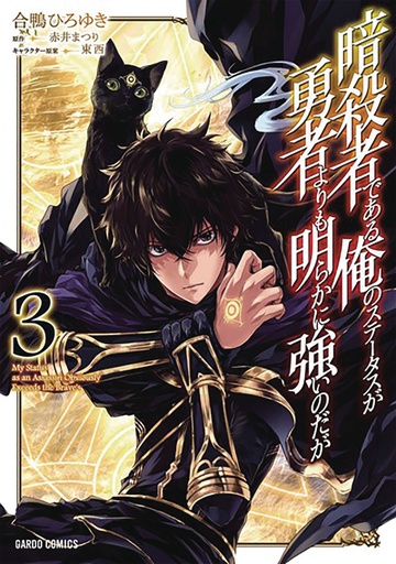 MY STATUS AS ASSASSIN EXCEEDS HERO 03